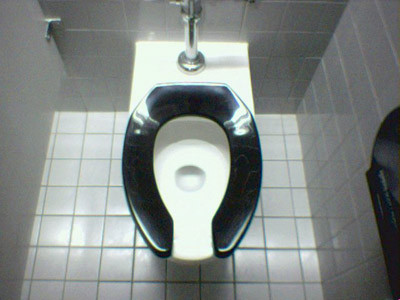 Image result for toilet seat public